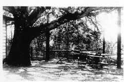 Jack London's hammock