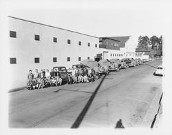 Utility Tree Service trucks and personnel on Second Street, Santa Rosa, California, 1959