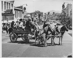 Ponies pulling a wagon in an unidentified Petaluma, California parade, about 1963