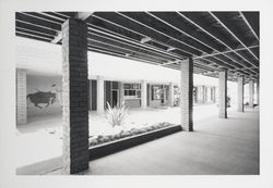 Shops at Montecito Shopping Center, Santa Rosa , California, 1967
