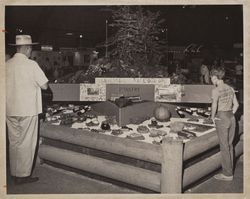 Centennial kaleidoscope exhibit at the Sonoma County Fair, Santa Rosa, California, 1986