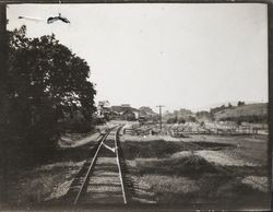 Winery near Lytton on the Northwestern Pacific Railroad tracks