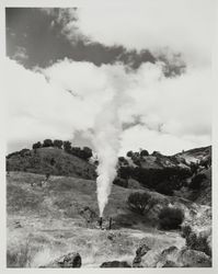 Steam arising from a pipe in the ground at the Geysers