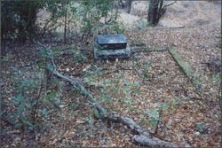 Tombstones at Faught Cemetery