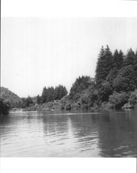 Looking up Russian River from Monte Rio, Sonoma County, California, July 1949