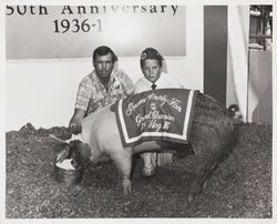 4H Grand Champion hog at the Sonoma County Fair, Santa Rosa, California, 1986