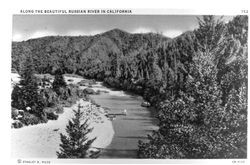 Along the beautiful Russian River in California