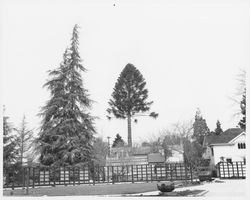 View of Burbank Gardens