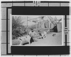 Unidentified Kenwood men with children and dogs