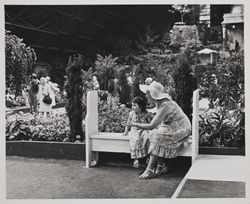 Spectators enjoy the show at the Hall of Flowers at the Sonoma County Fair, Santa Rosa, California