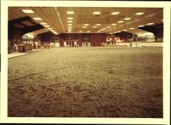 Finishing the interior of the Ice Arena