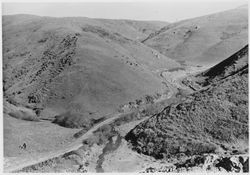 Highway 1 near Valley Ford