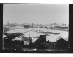 Flood on upper Main Street, Petaluma, California in 1912, looking toward Camm and Hedges