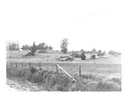 Abandoned farmhouse and outbuildings near Petaluma, California, 1950s or 1960s