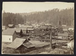 View southwest from the lower slope of the hill in Guerneville, California, July 21, 1875