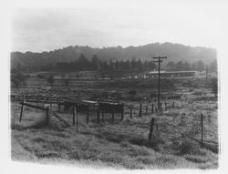 Outbuildings and fields on Community Health Association property at 2759 Bennett Valley Road, Santa Rosa, California, 1963