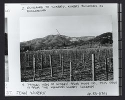 Typical view of winery from Hwy. 12 this view is from the Kenwood Winery location