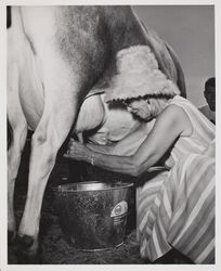 Milk Maid Contest participant at the Sonoma County Fair, Santa Rosa, California, July 19, 1964