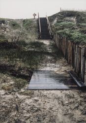 Stairway along a path in Sea Ranch