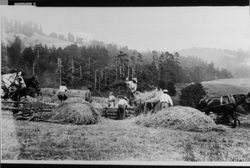 Baling hay at Fort Ross