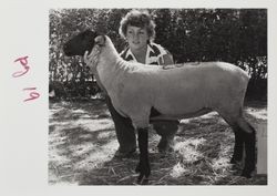 Marcia Kunde and her sheep at the Sonoma County Fair, Santa Rosa, California