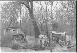 Sebastopol's hobo jungle during a flood