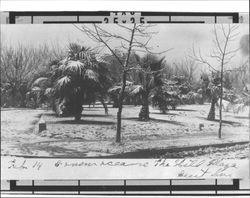 Snow scenes at Hill Plaza Park, Petaluma, California, February 14, 1907
