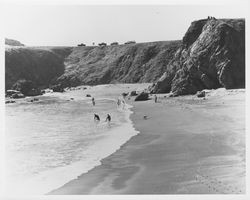 Net fishing in the Pacific Ocean near Jenner