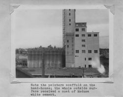 Poultry Producers of Central California Petaluma mill under construction, about 1938