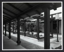 View of Montgomery Village Shopping Center breezway, Santa Rosa, California, 1979