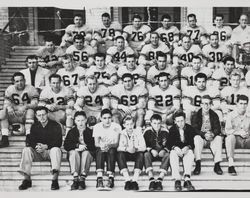 Group photograph of the Leghorns, Petaluma football team, 201 Fair Street, Petaluma, California, about 1950