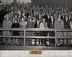 Spectators at the Petaluma Leghorn game against South San Francisco Windbreakers