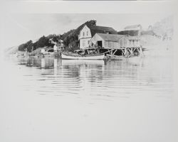 Boats along the shoreline of Bodega Bay