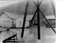 Western Redwood Lumber Company