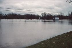 Flooded Sebastopol Youth Community Park, Sebastopol, California, Feb. 1997