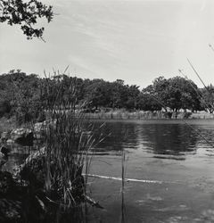 Lakeside view of Lake Ilsanjo