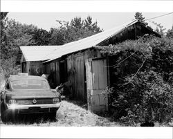 Outbuilding located at 1480 Los Olivos Road, Santa Rosa, California, 1987