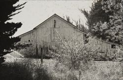 Barn near Rainsville Road and Stony Point