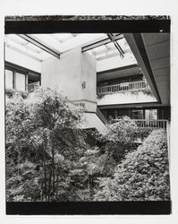 Interior court of medical building at 1111 Sonoma Avenue, Santa Rosa, California, 1982