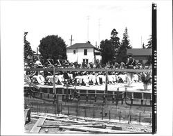 Band playing on the foundation of an unfinished building, Petaluma, California, 1955