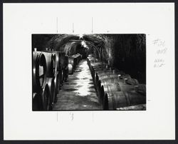 Hand-Dug caves built in 1885 and used for aging Quail Ridge's traditional burgundies
