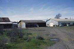 Behind the Sebastopol Cooperative Cannery on south side of Sebastopol Ave., Mar. 1972