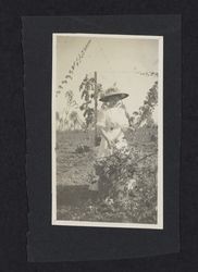 Mrs. William S. Borba in a hop field