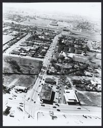 Looking west along Steele Lane from Mendocino Avenue, Santa Rosa, California, 1965