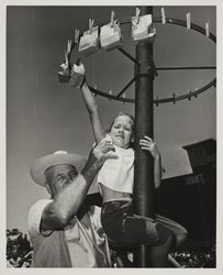 Candy pole on Farmers' Day at the Sonoma County Fair, Santa Rosa, California, July 19, 1964