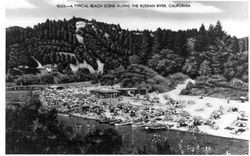 Typical bathing scene along the Russian River, California