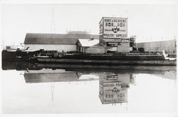 Barge loaded with sacks of feed at Hunt and Behrens wharf