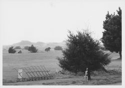 View of the golf course at Sea Ranch