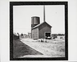 Out building at Walden and Company, Geyserville, California, 1899