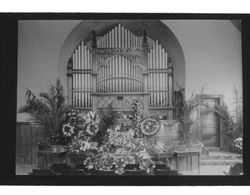 Flowers decorating the altar of the Congregational Church, Petaluma, California, 1905